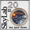 Skylab Program Patch - 20th Anniv