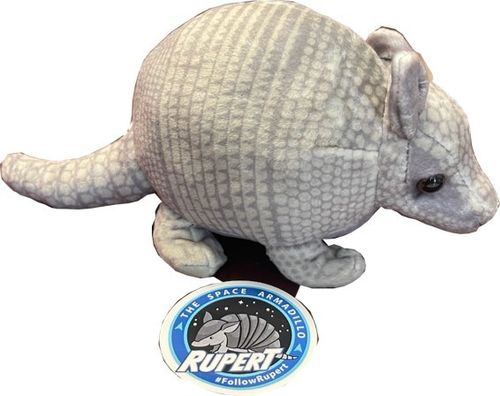 Rupert the Space Armadillo - Small